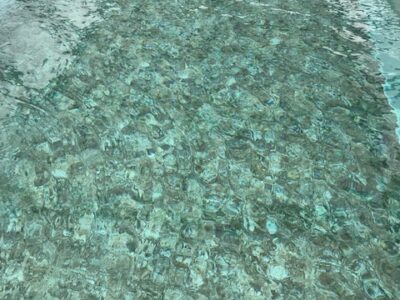 Installation équipements piscine la rochelle